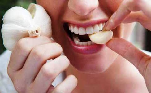 Khasiat Bawang Putih Bagi Kesehatan